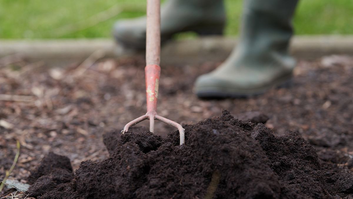 garden rescue: wer rettet meinen garten?