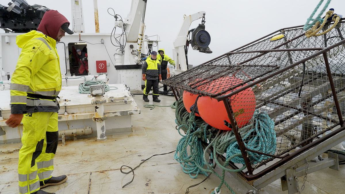 fang des lebens: abenteuer in norwegen