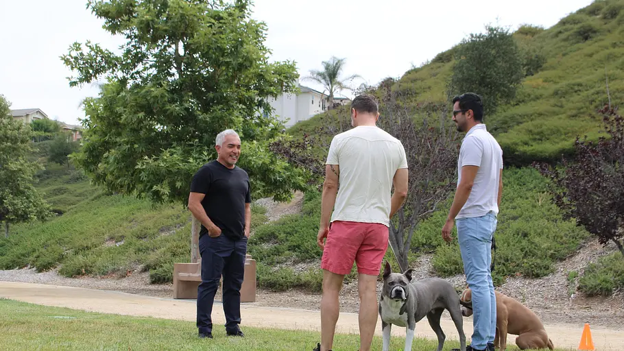 Cesar Millan: Guter Mensch, guter Hund cesar millan: guter mensch, guter hund