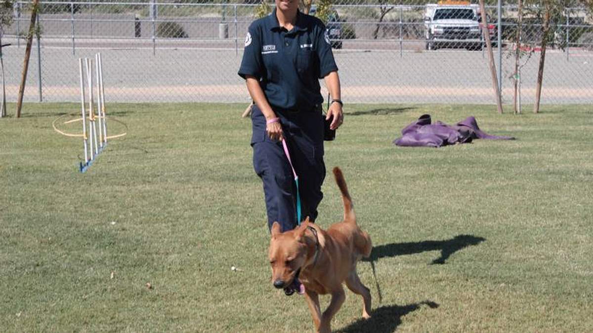 tierpolizei phoenix