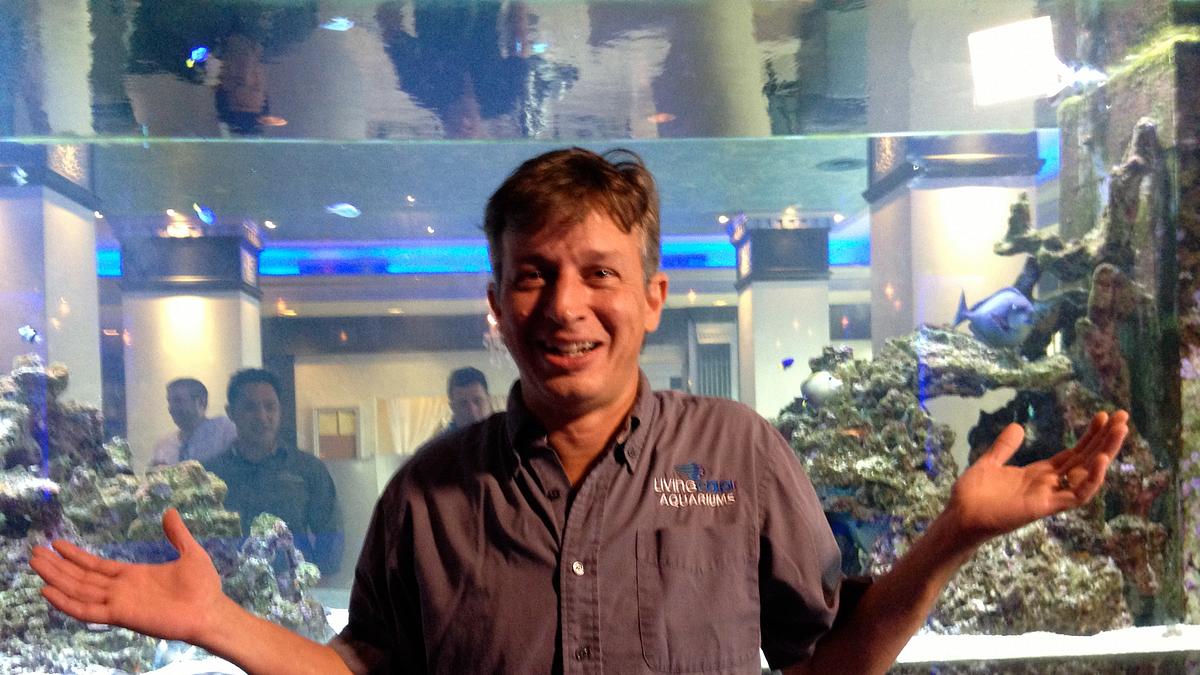 fish tank kings - gigantische wasserwelten