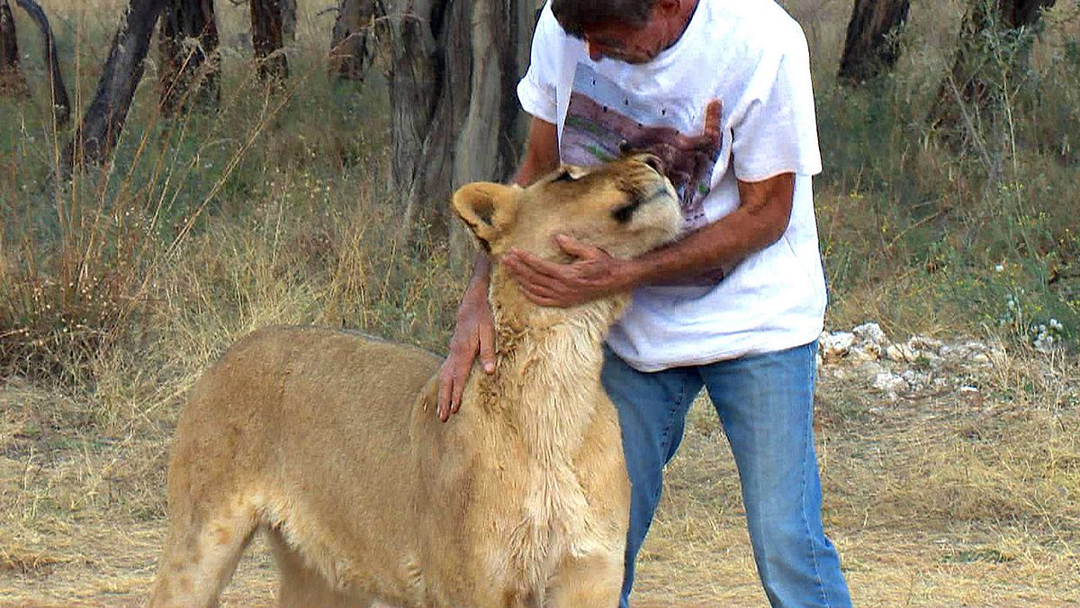 das waisenhaus für wilde tiere - abenteuer afrika