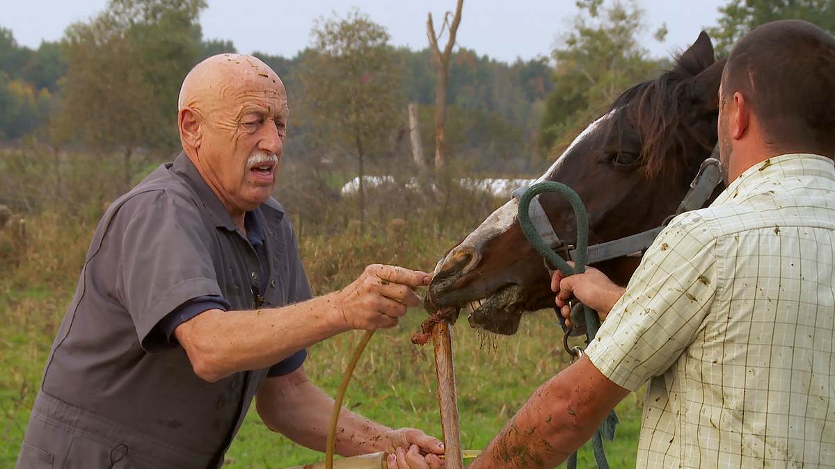 der unglaubliche dr. pol