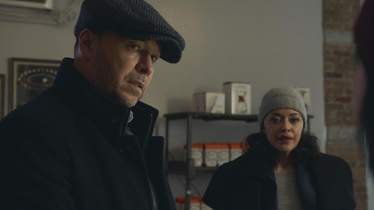 blue bloods - crime scene new york