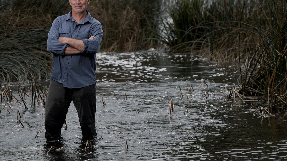 dark waters mit jeremy wade
