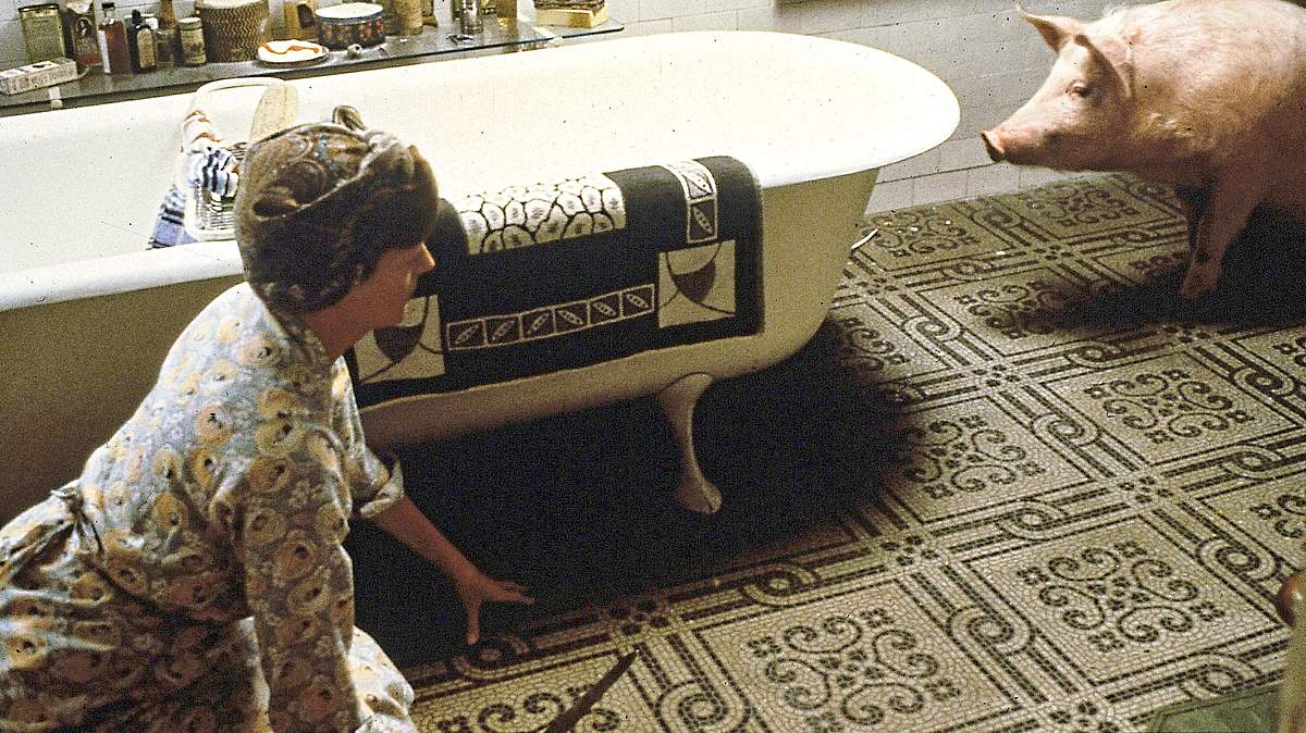 magere zeiten - der film mit dem schwein