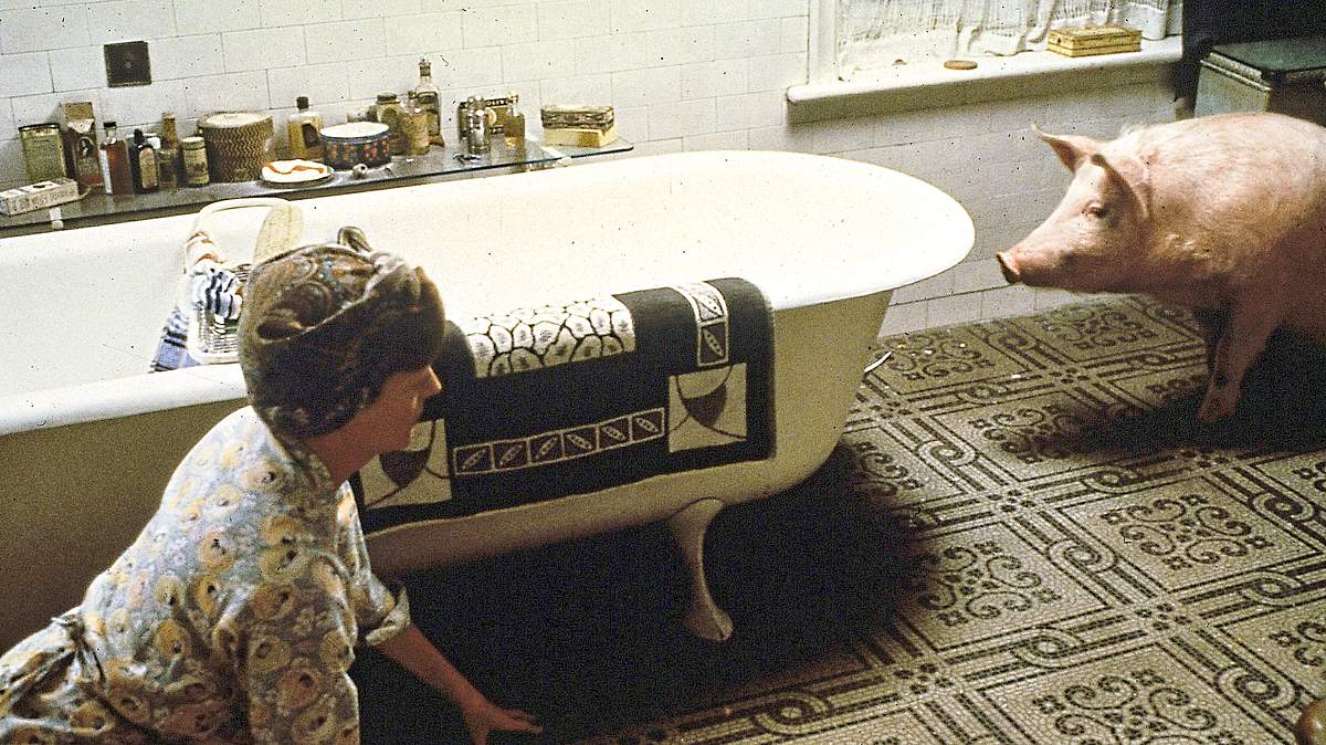 magere zeiten - der film mit dem schwein