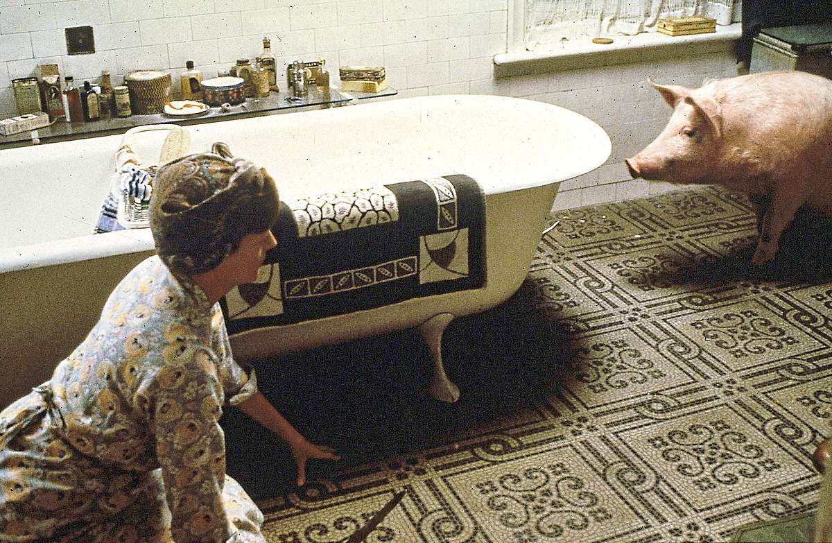 Magere Zeiten - Der Film mit dem Schwein magere zeiten - der film mit dem schwein