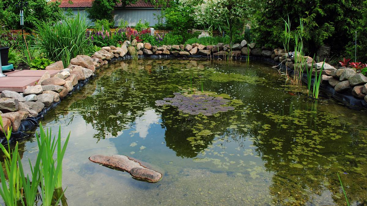 ab ins beet! die garten-soap