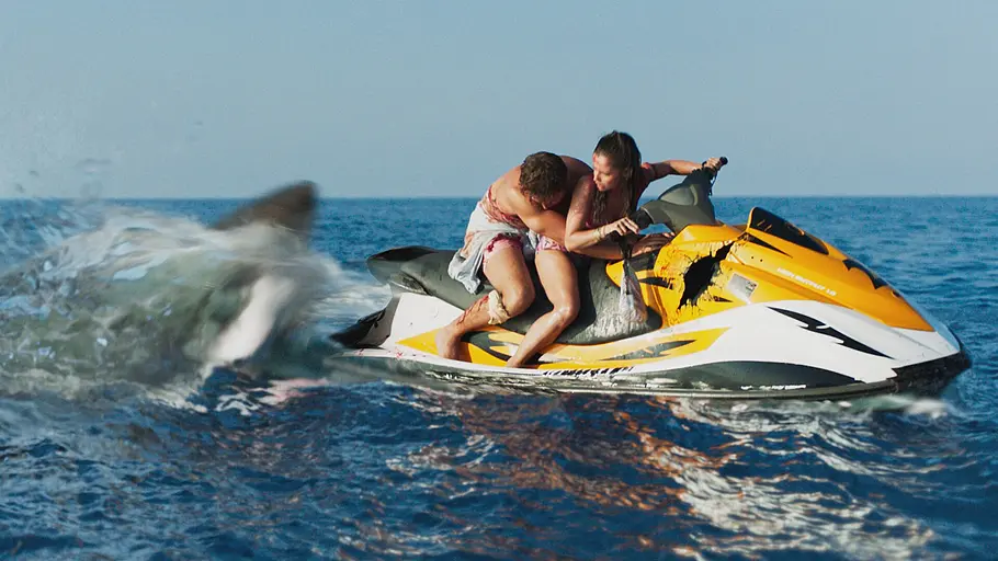 Shark Bait shark bait