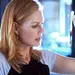 CSI: Den Tätern auf der Spur Thumbnail