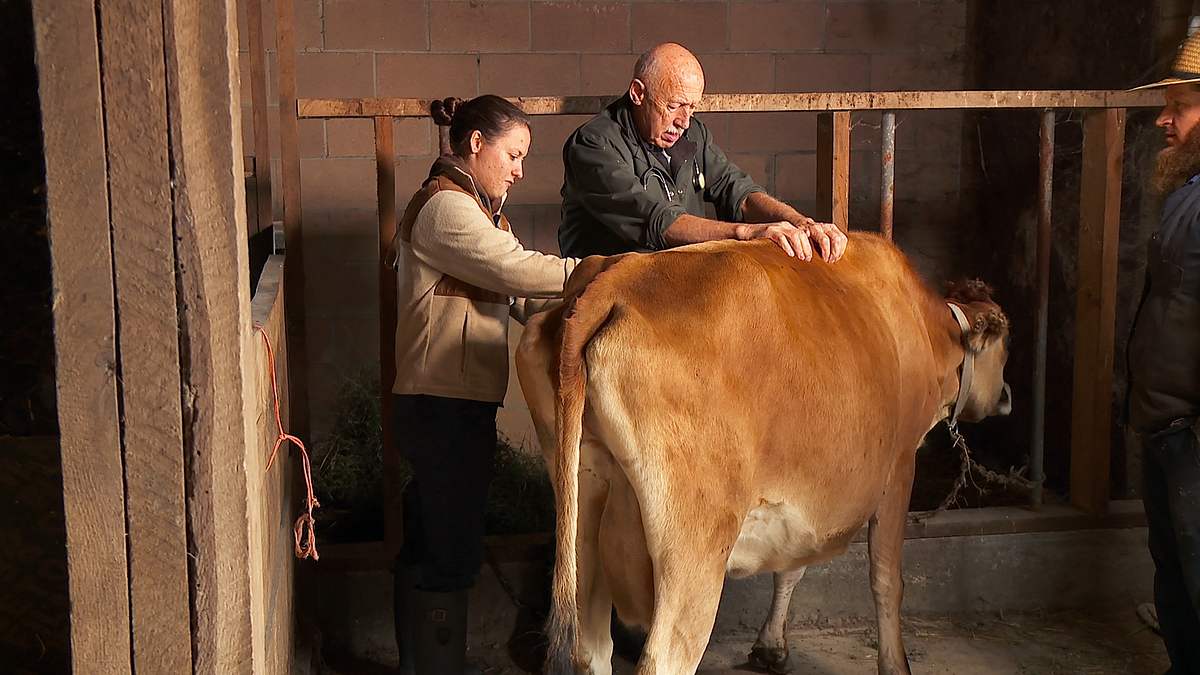 der unglaubliche dr. pol