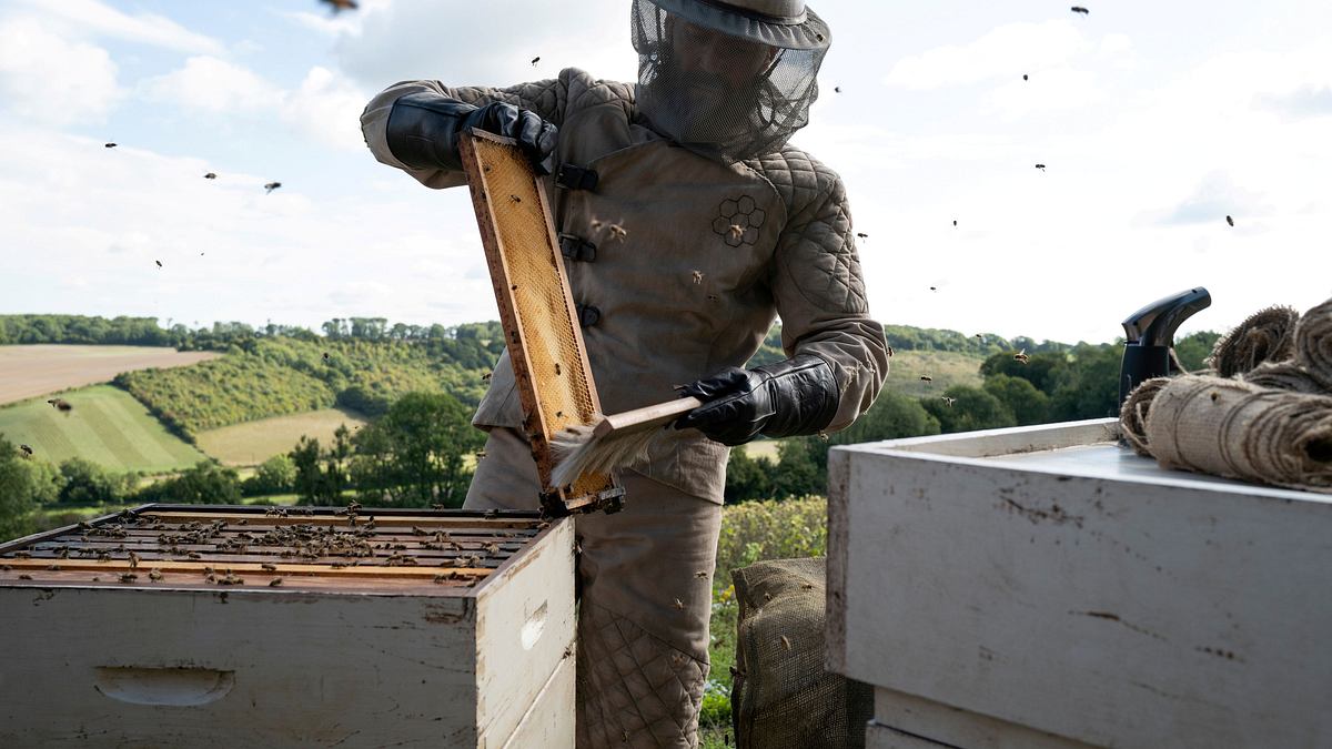 the beekeeper