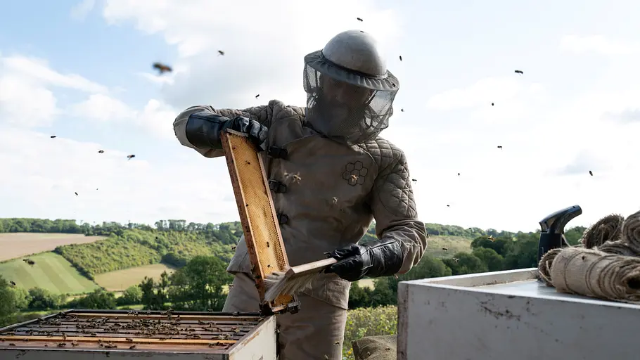 The Beekeeper the beekeeper