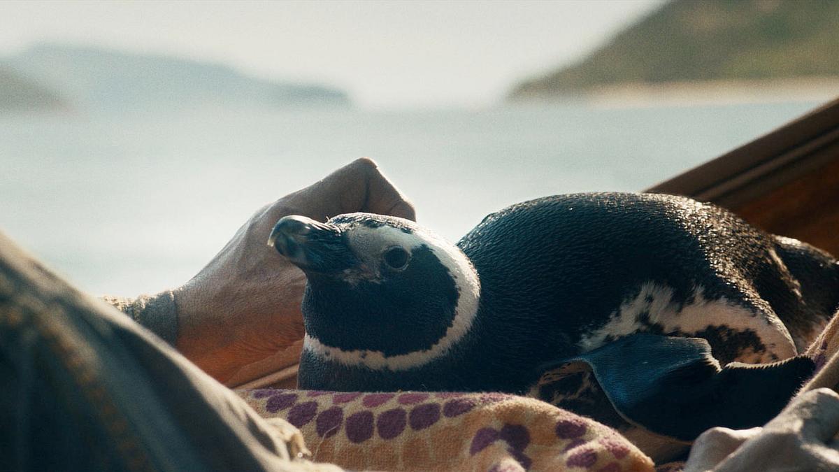 my penguin friend