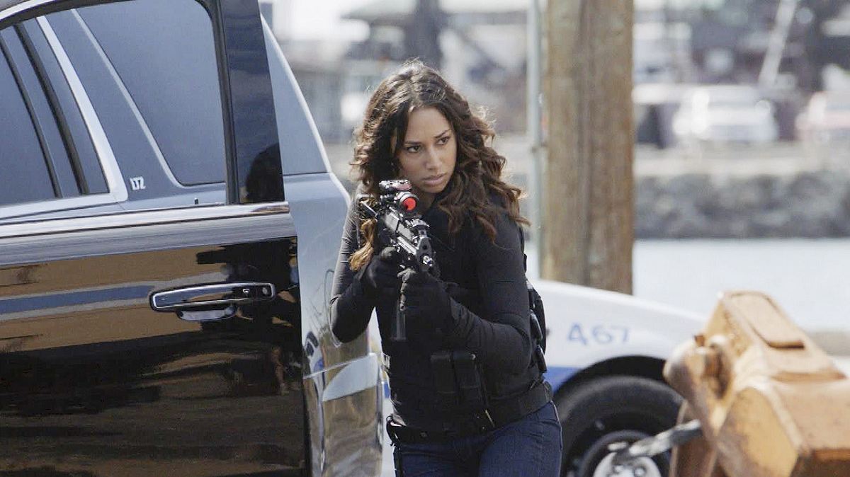 hawaii five-0