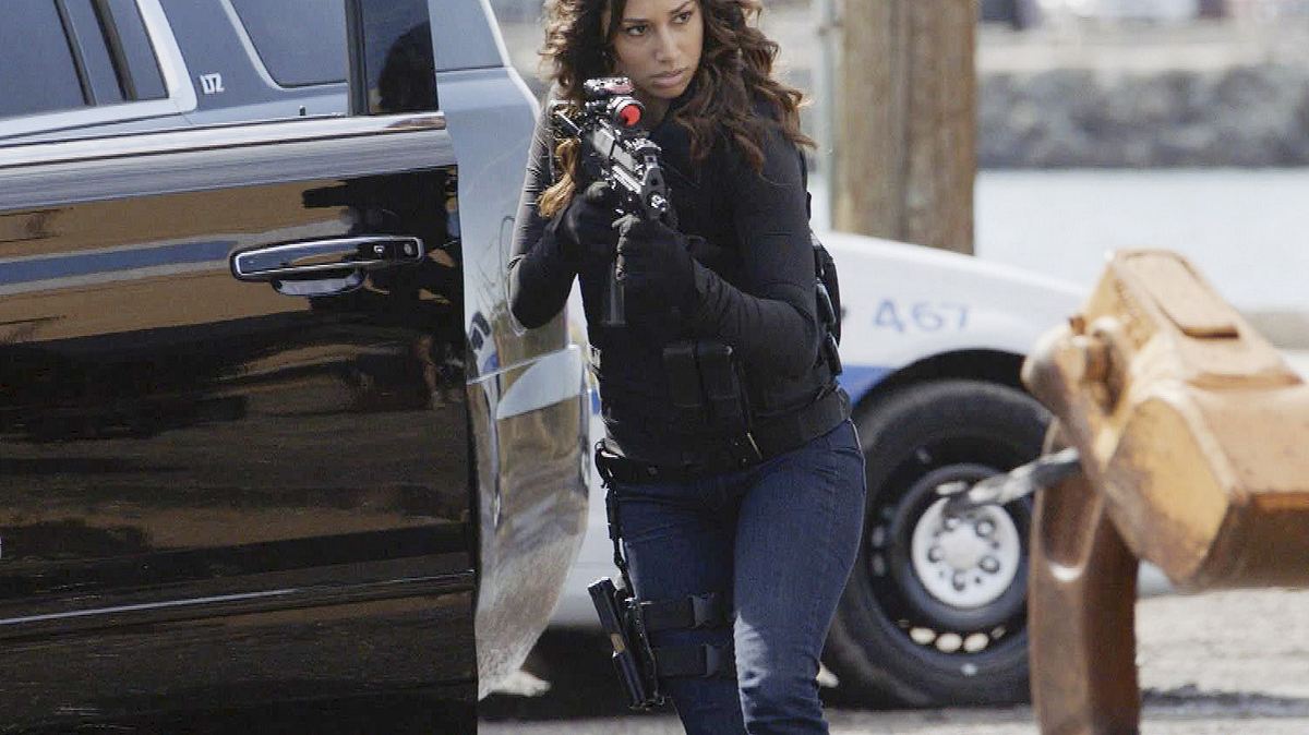 hawaii five-0