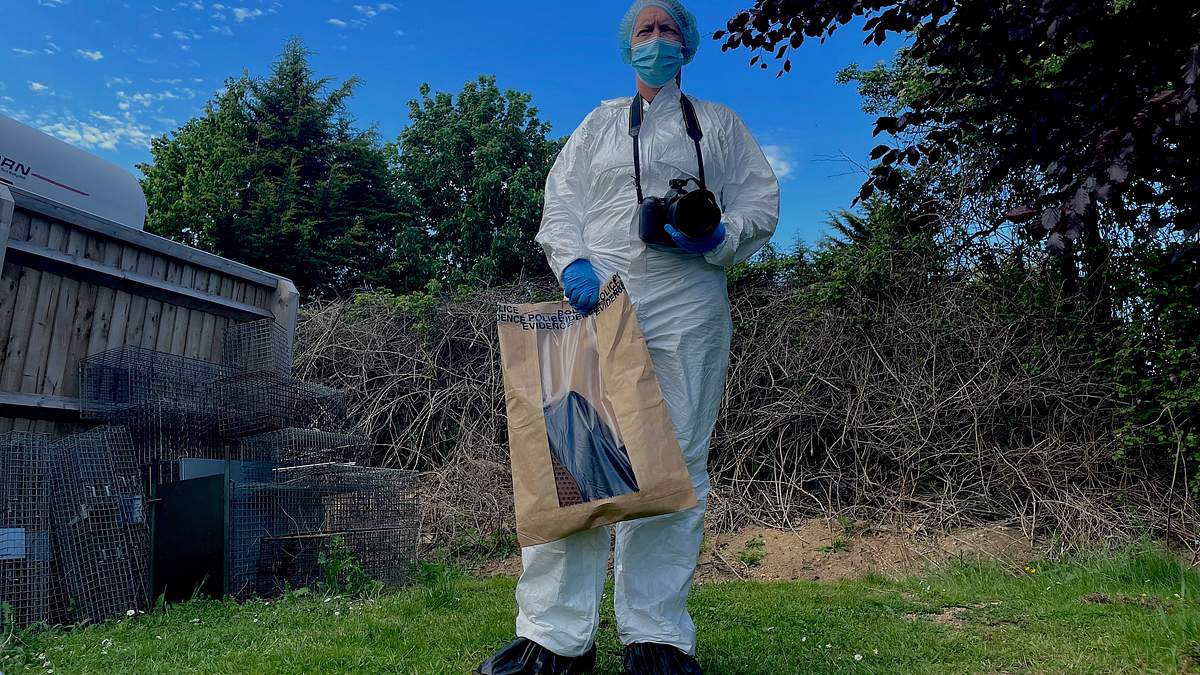am ort des verbrechens - forensiker auf spurensuche