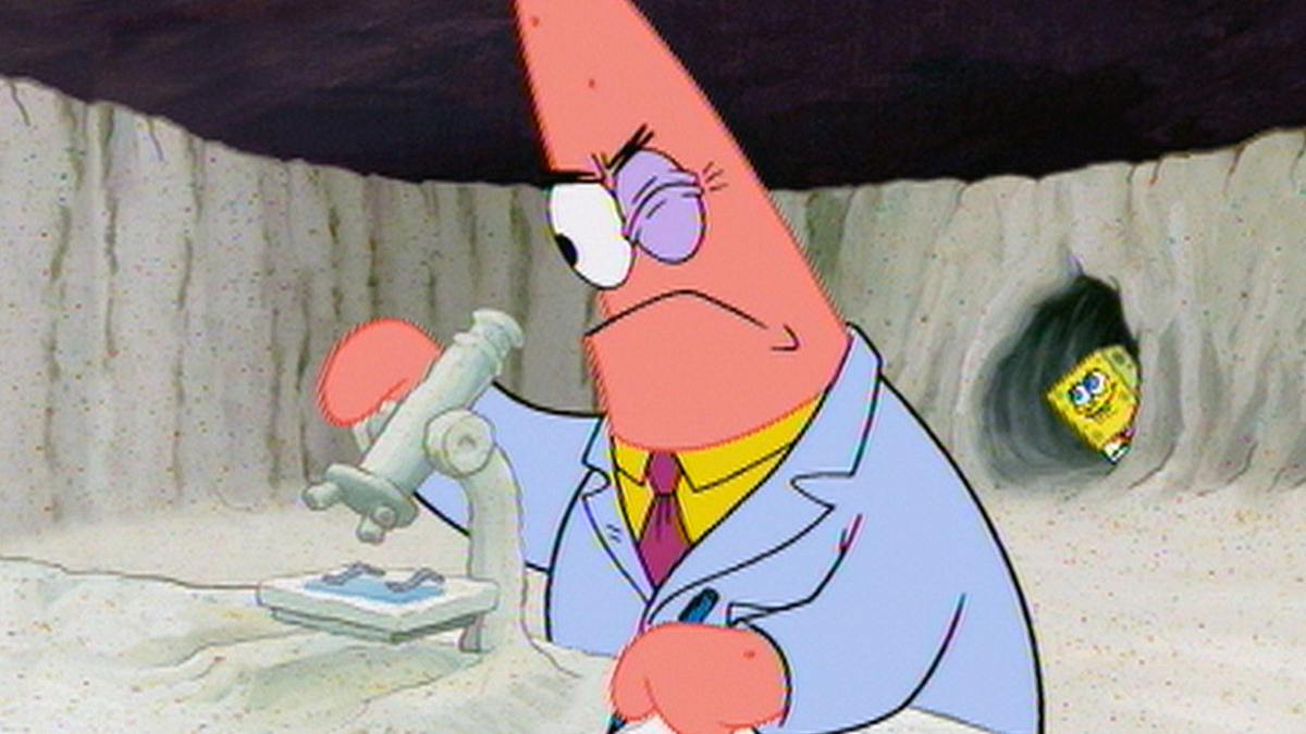 spongebob schwammkopf