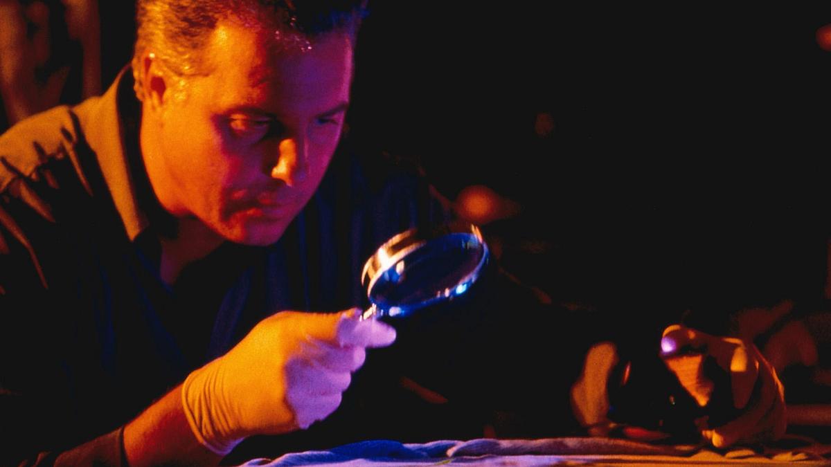 csi: den tätern auf der spur
