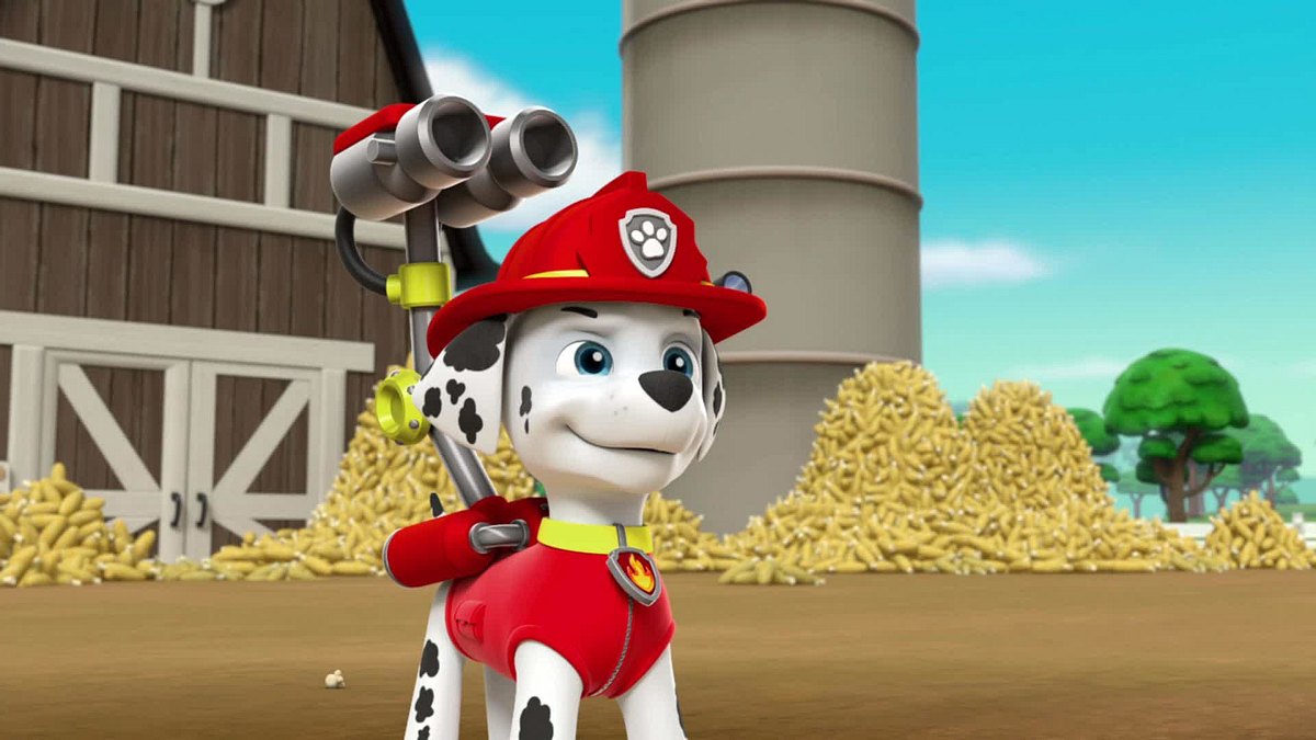 Paw Patrol - Helfer auf vier Pfoten paw patrol - helfer auf vier pfoten
