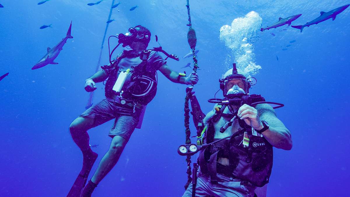 der echte sharknado - expedition zu den salomonen