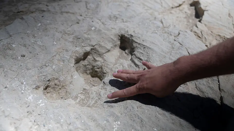Geheimnisse der Jurassic-Saurier geheimnisse der jurassic-saurier