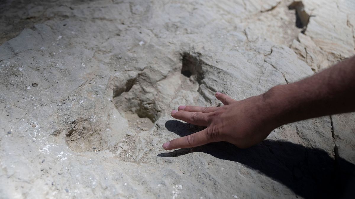 geheimnisse der jurassic-saurier