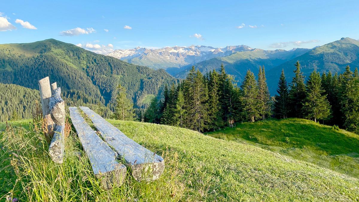 almsommer in den hohen tauern