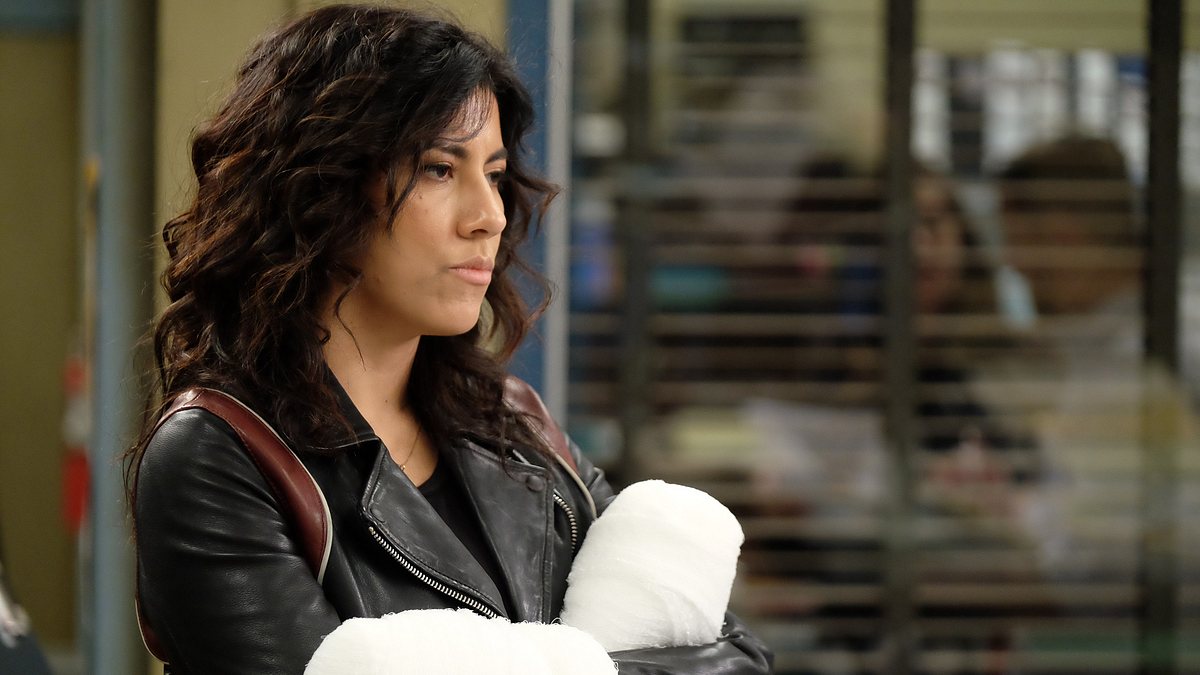 brooklyn nine-nine
