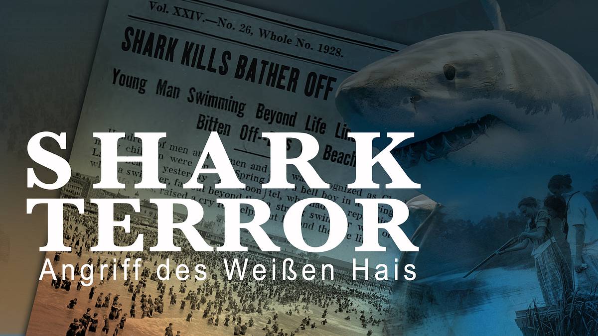 shark terror - angriff des weißen hais