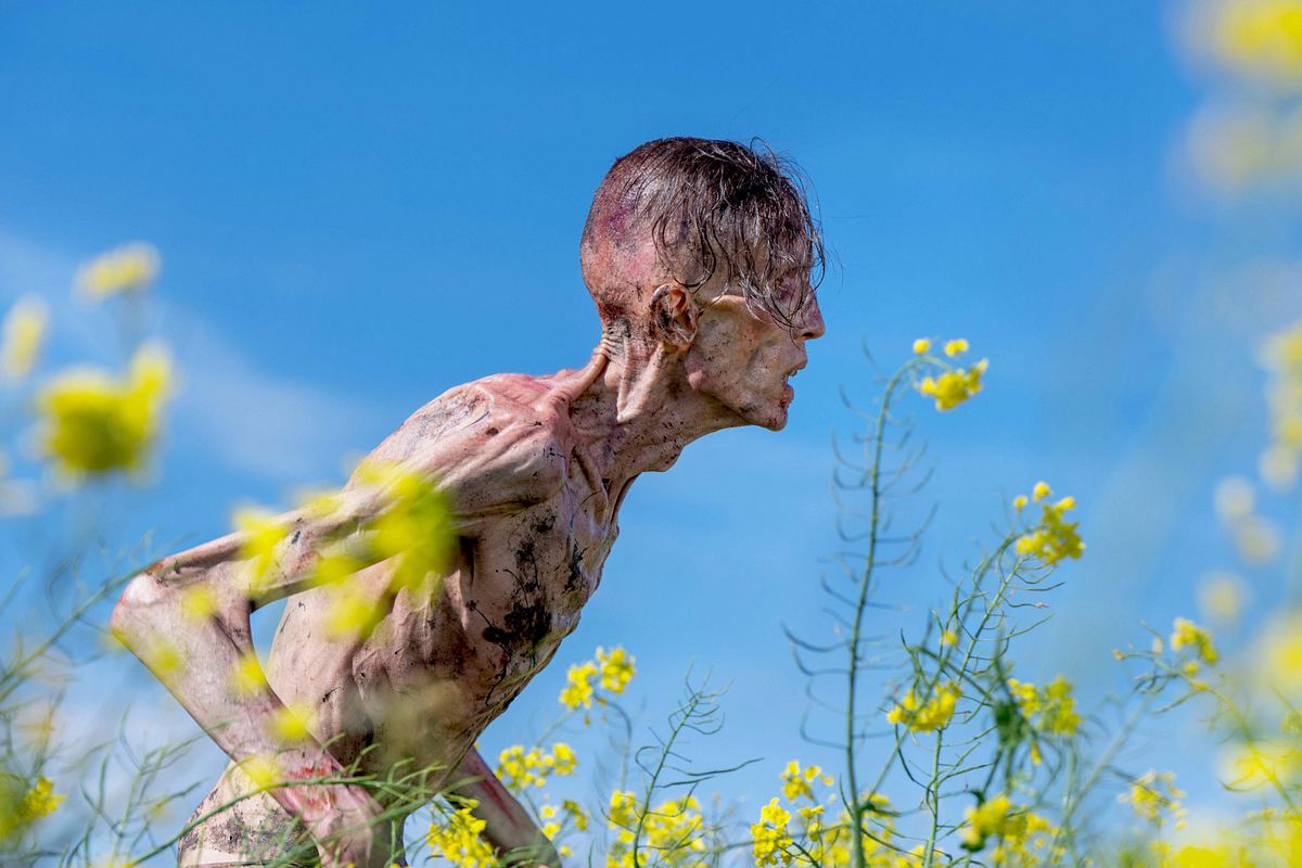 28 Years Later Man sieht einen recht abgemagerten und teils blutverschmierten Zombie aus „28 Days Later“ auf einem gelben Blumenfeld.