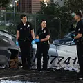 The Rookie Thumbnail