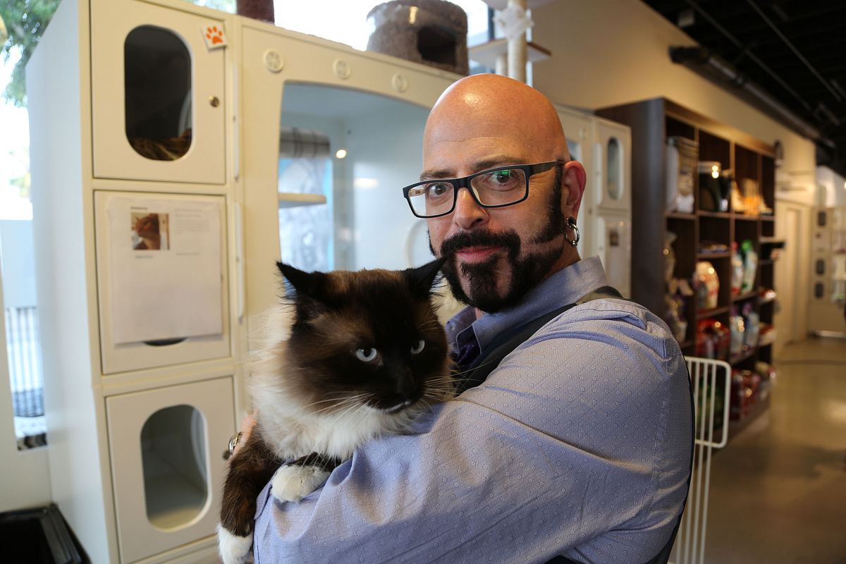 Der Katzenflüsterer der katzenflüsterer