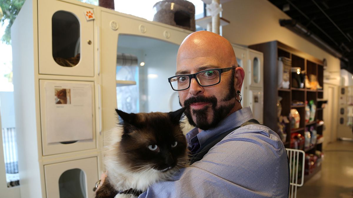 der katzenflüsterer
