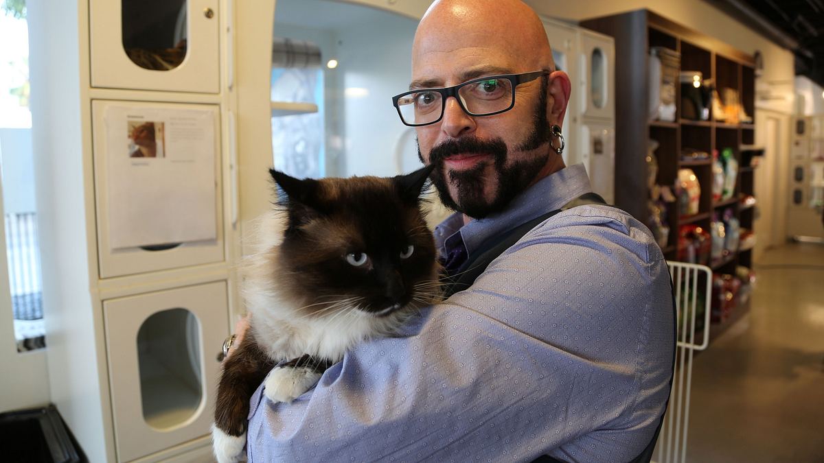 der katzenflüsterer