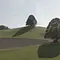 Die magische Welt der Bäume Thumbnail
