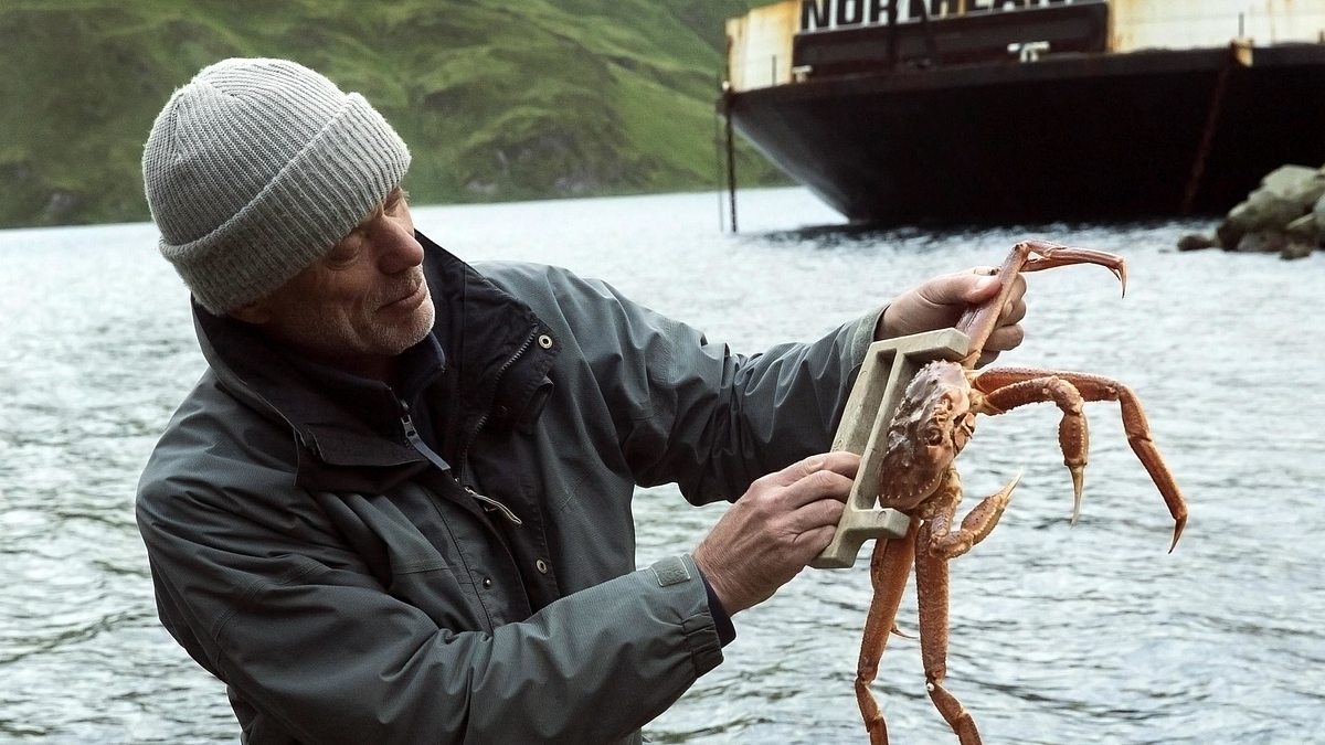 dark waters mit jeremy wade