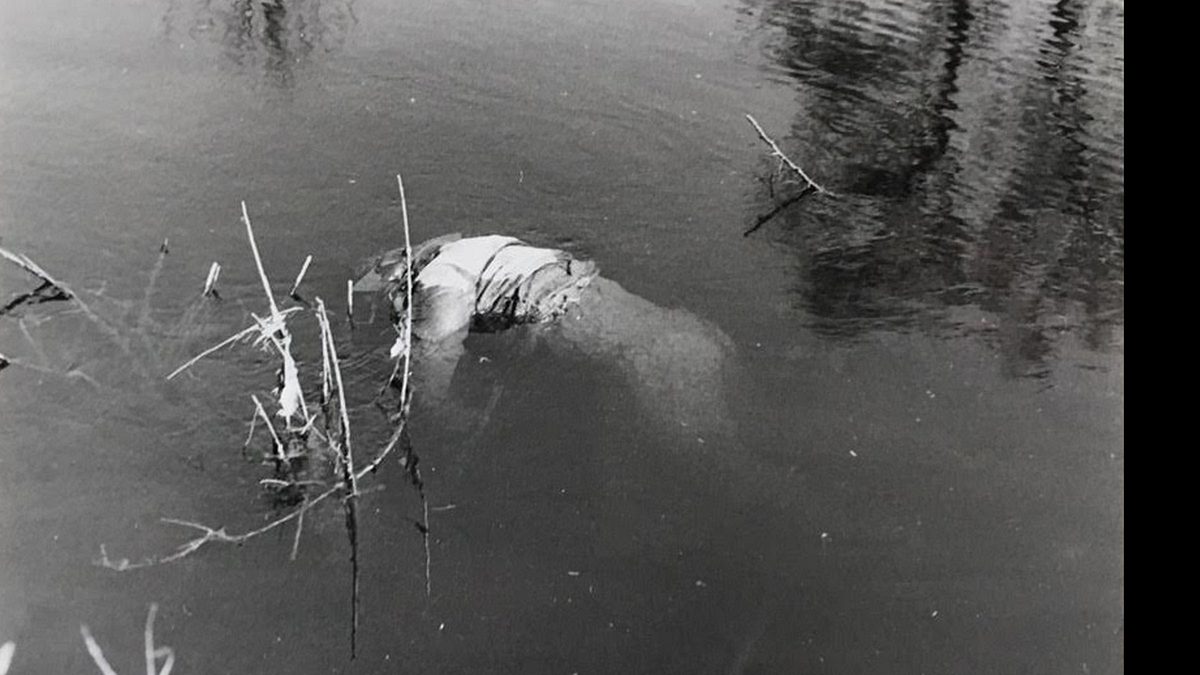 mysteriöse kriminalfälle der ddr