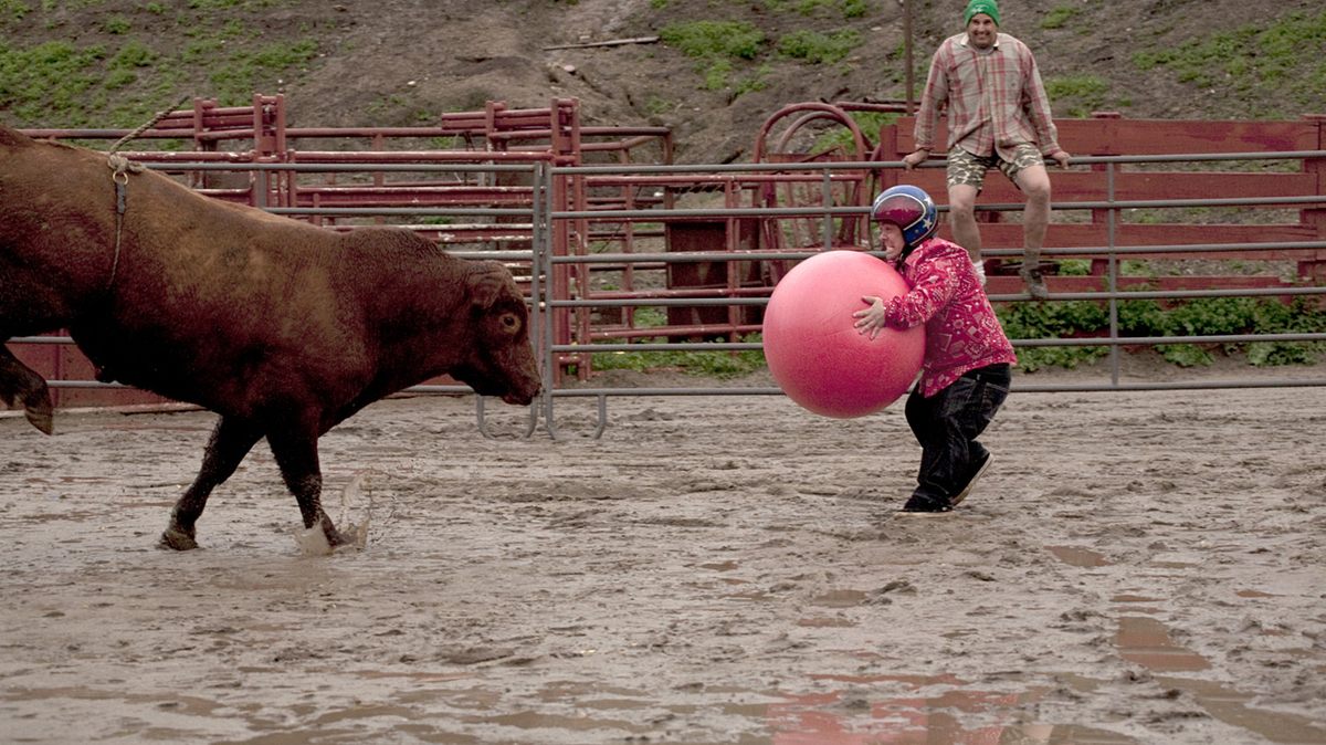 jackass 3.5