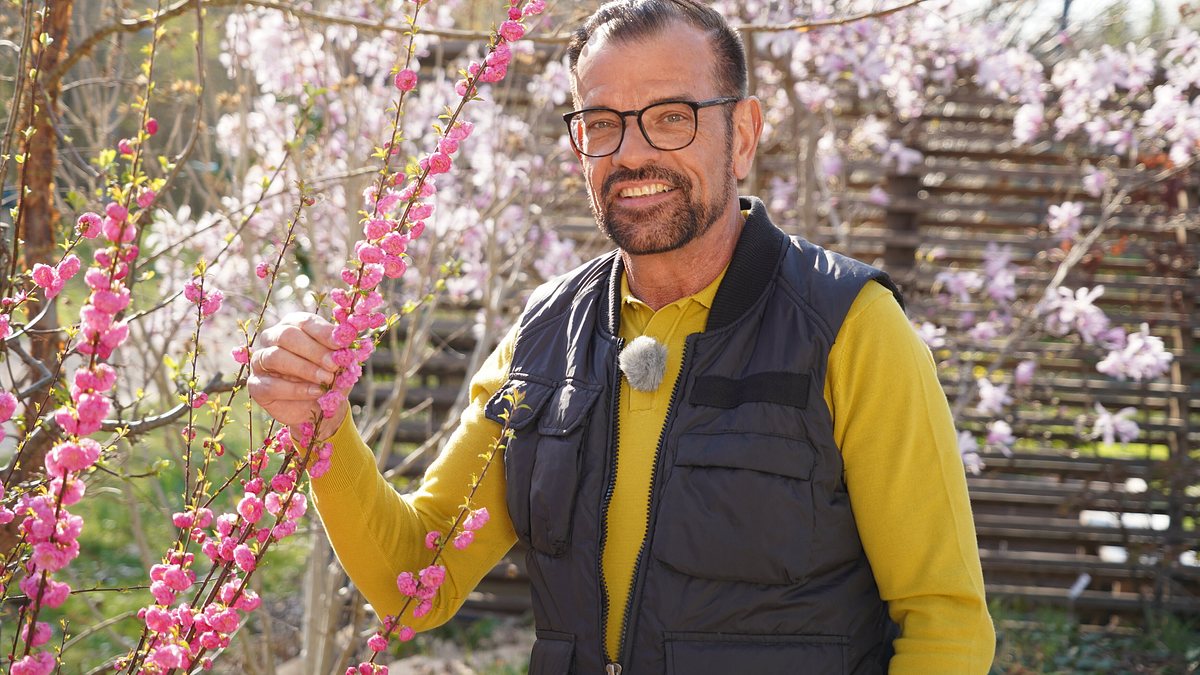 natur im garten