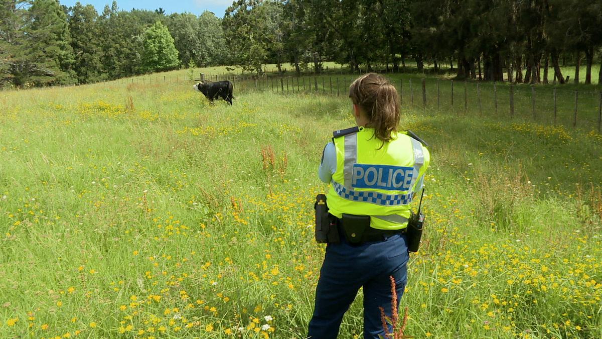 police force - einsatz in neuseeland