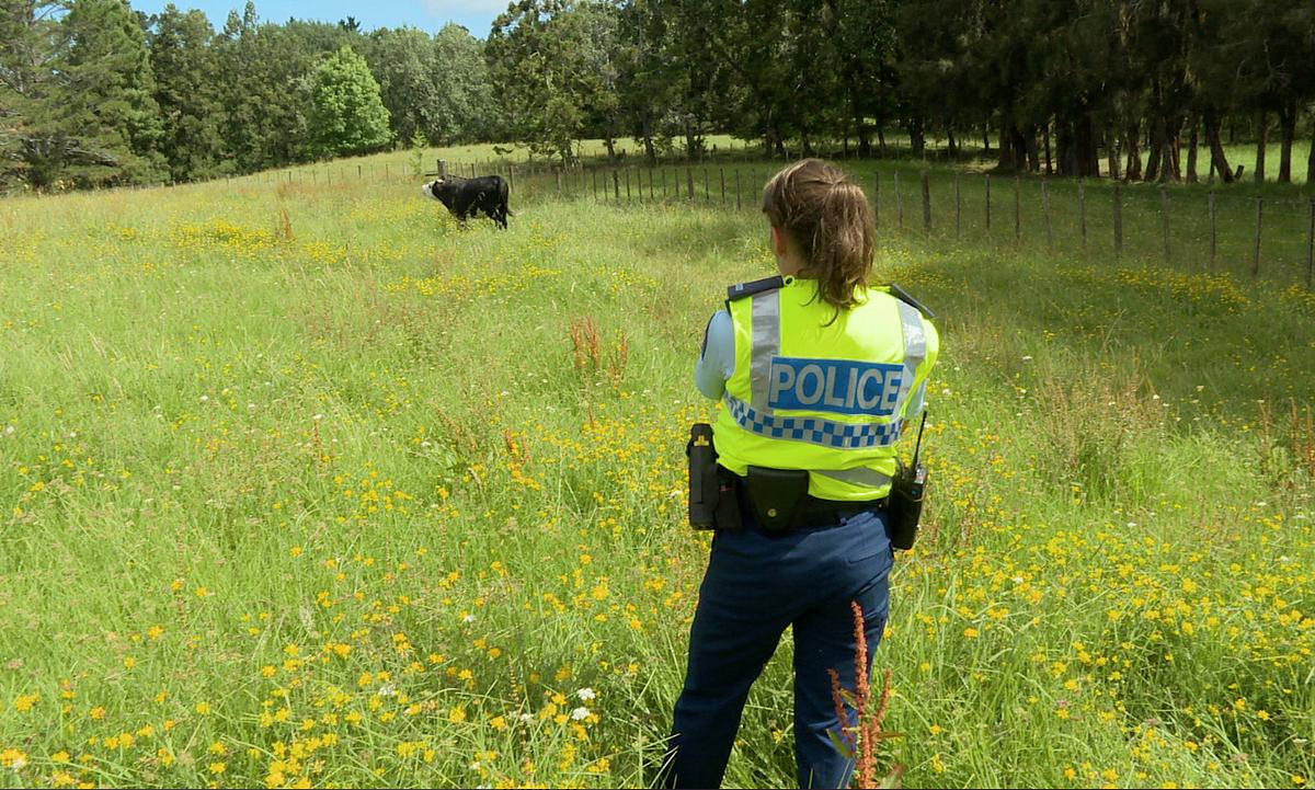 Police Force - Einsatz in Neuseeland police force - einsatz in neuseeland
