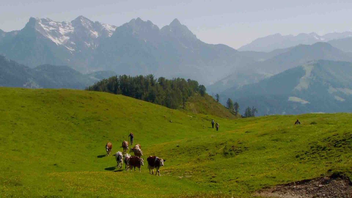 heimatleuchten