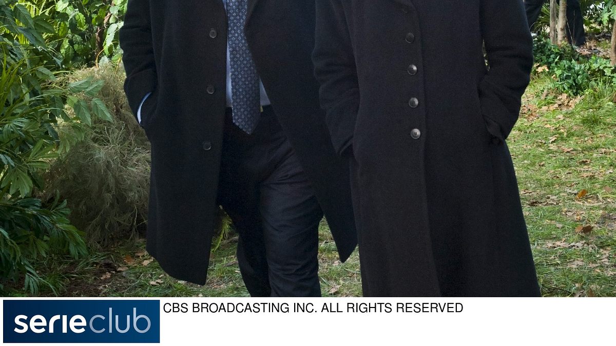 blue bloods - crime scene new york