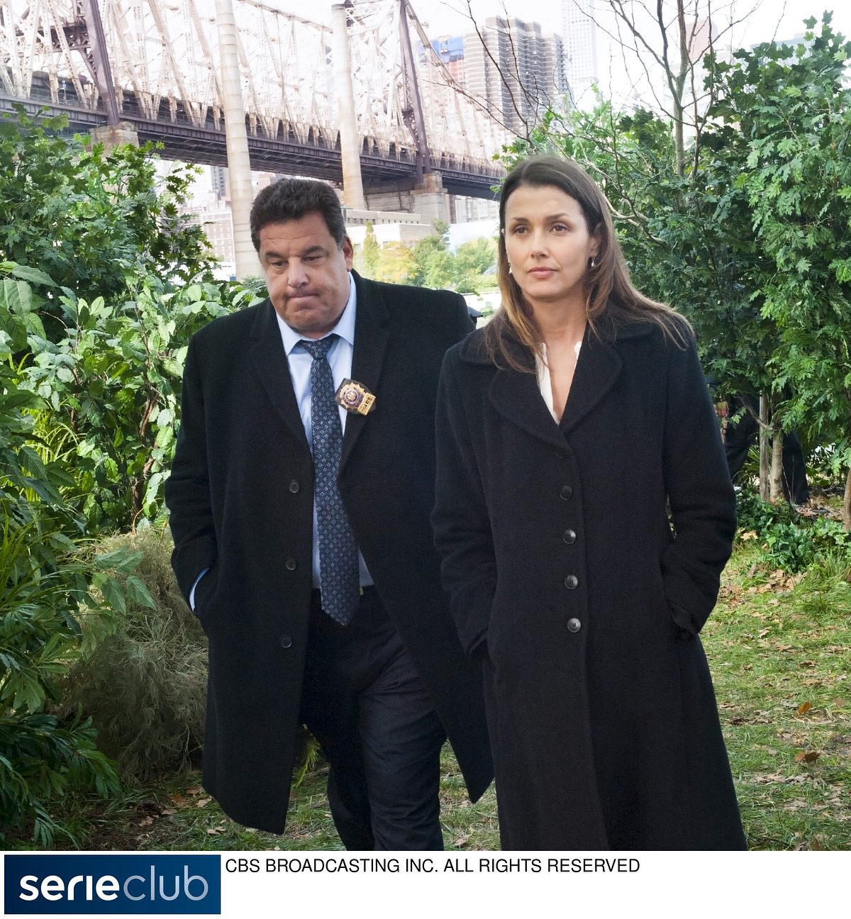 blue bloods - crime scene new york