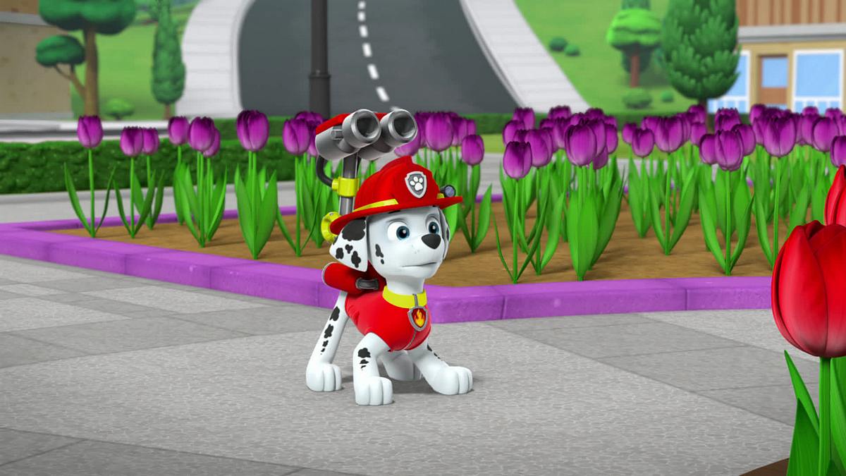 paw patrol - helfer auf vier pfoten