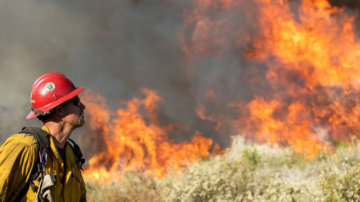 cal fire - feueralarm in kalifornien