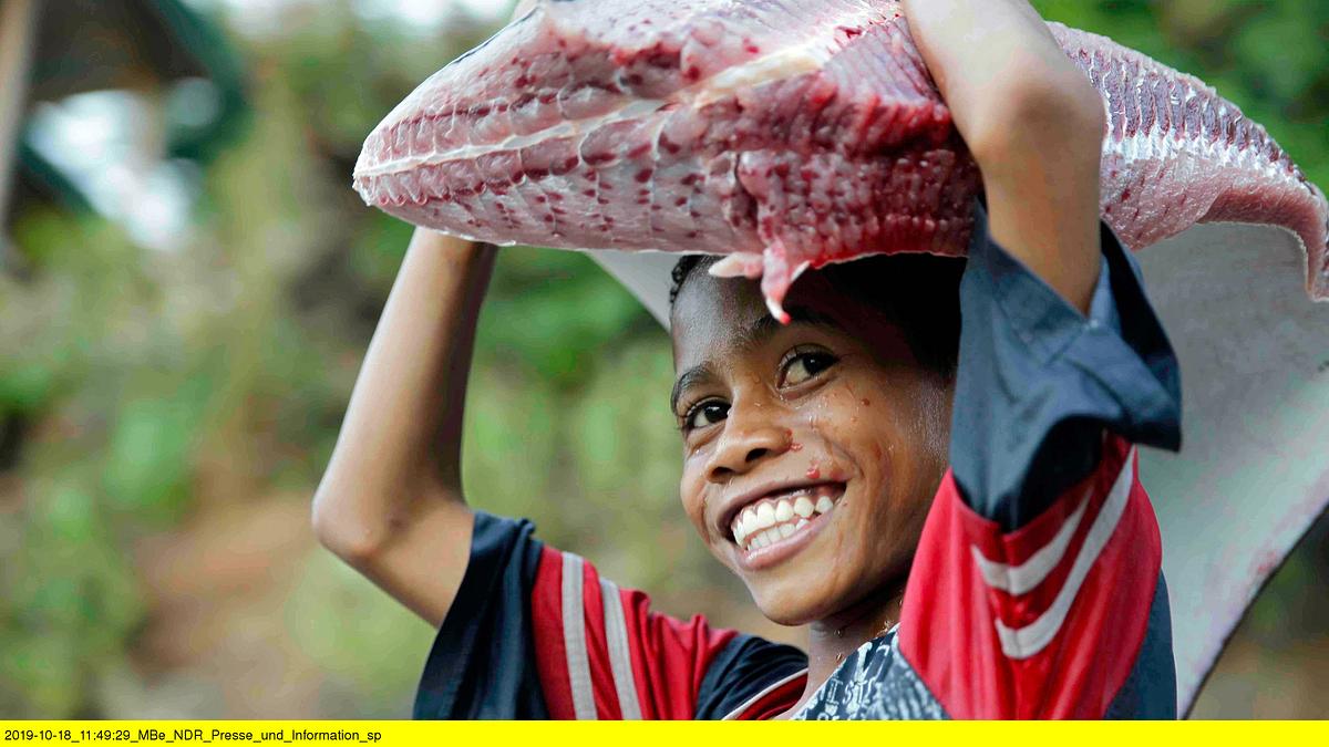 inselwelten. indonesiens wilder osten