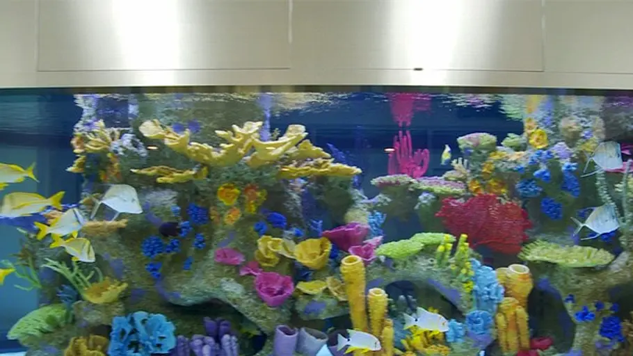 Fish Tank Kings - Gigantische Wasserwelten fish tank kings - gigantische wasserwelten